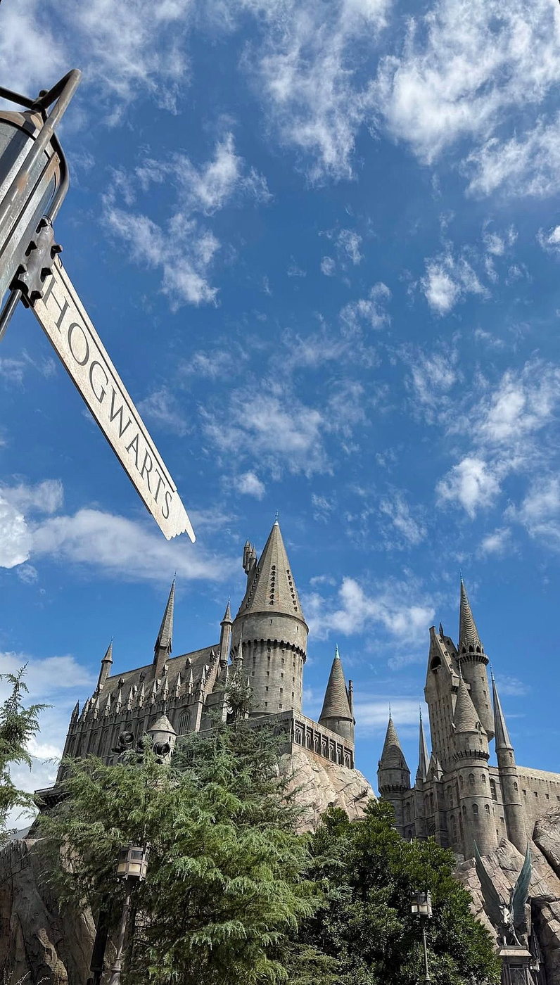 The Wizarding World of Harry Potter